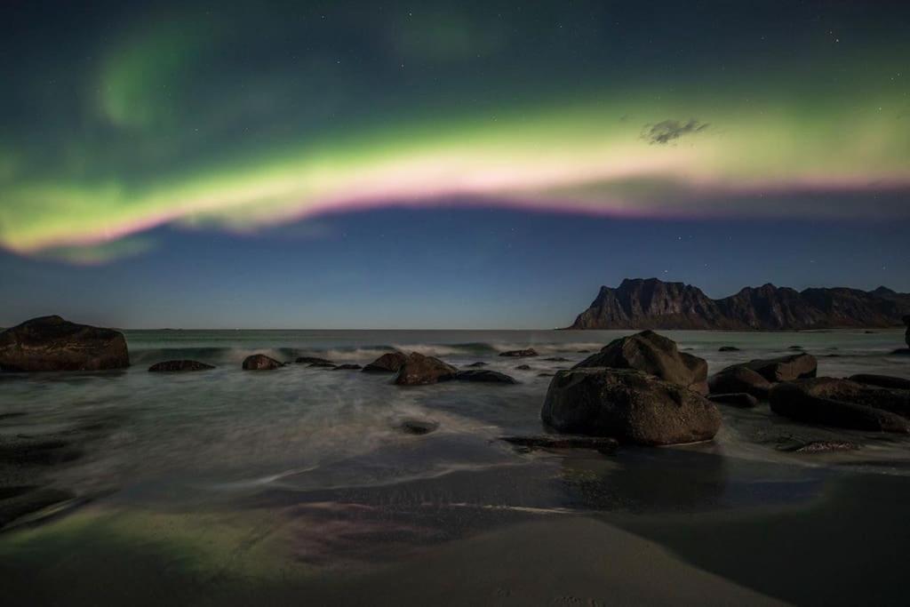 Lofoten - New Apartment, Close To Airport. Лекнес Екстер'єр фото